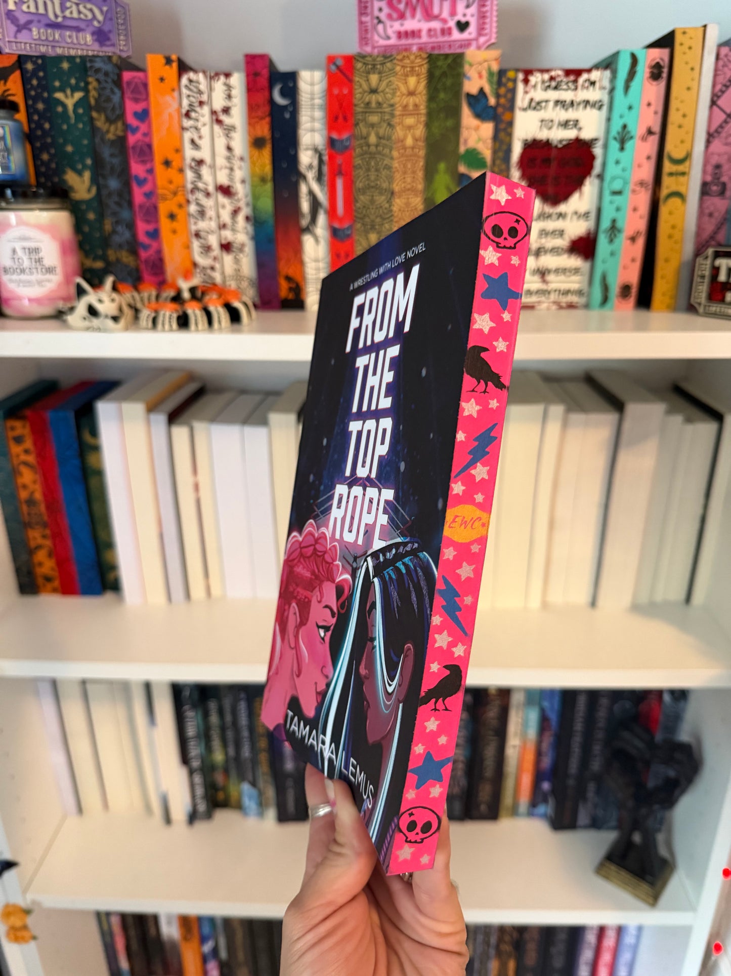 From the Top Rope by Tamara Lemus Sprayed Edge Edition Officially Licensed